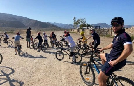 Bicycles-460x295-1.webp